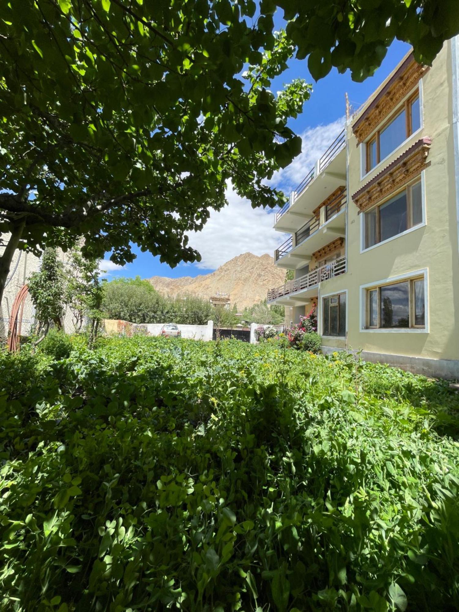 Zlatan Guest House Leh Dış mekan fotoğraf